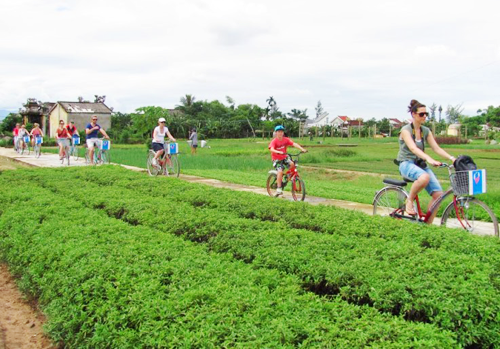 Half Day - Hoi An Cycling