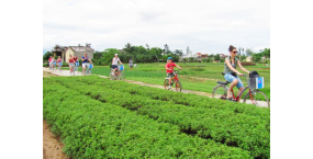 Half Day - Hoi An Cycling