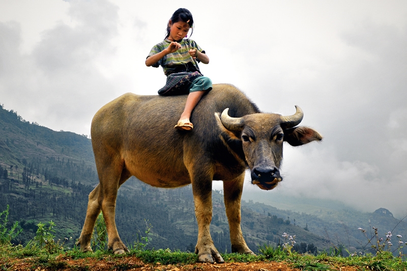 Group tour Vietnam 'on a Shoestring'