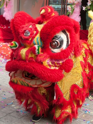 Northern Vietnam in Discovery - 7 DAYS