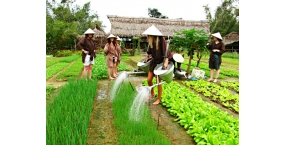 Half Day - Tra Que Farming (Biking)