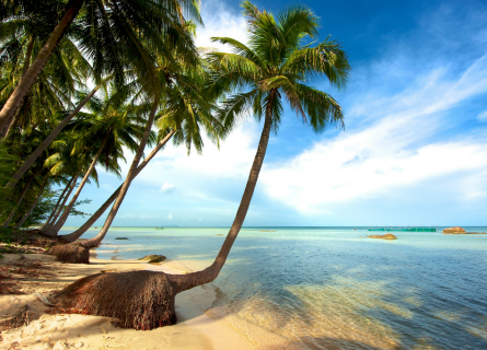 Vietnam Beach Retreat - 12 DAYS